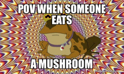 Mushroom