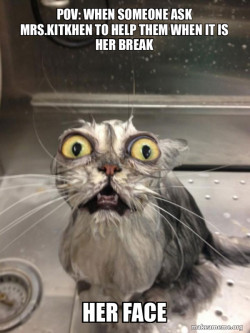 Cat bath
