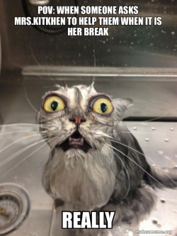 Cat bath