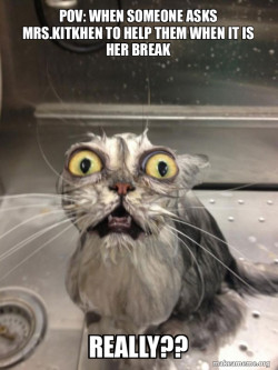 Cat bath