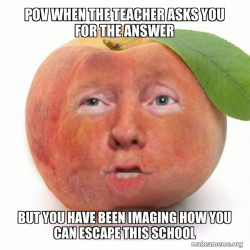 Impeached Donald Trump