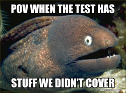 Bad Joke Eel