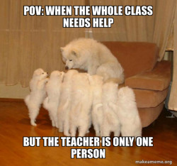 Storytelling Dog