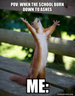 Happy Squirrel
