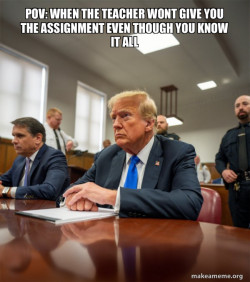 Trump Court Room