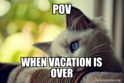 First World Cat Problems