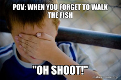 Confession Kid
