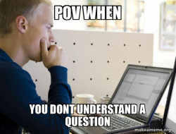 Programmer