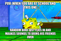 Mocking SpongeBob