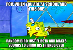 Mocking SpongeBob