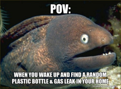 Bad Joke Eel