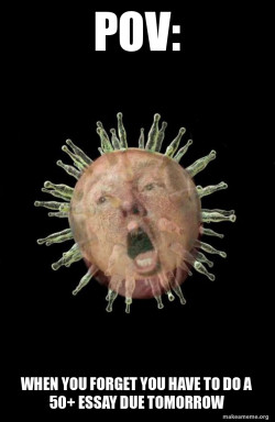 Trumpvirus TrumpPandemic