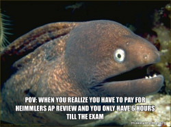 Bad Joke Eel