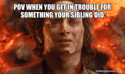 Frodo it's over it's done