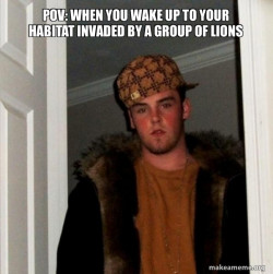 Scumbag Steve