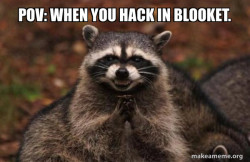 Evil Plotting Raccoon