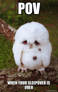 Sad Owl