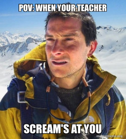 Bear Grylls
