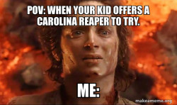 Frodo it's over it's done