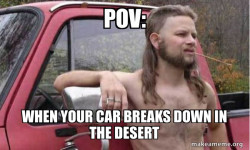 Almost Politically Correct Redneck