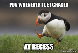 Unpopular Opinion Puffin
