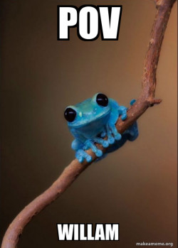 Small Fact Frog