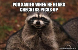 Evil Plotting Raccoon