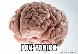 Scumbag Brain