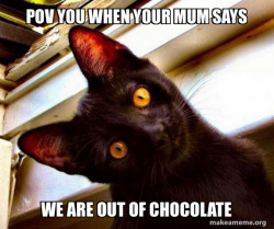 Overly Attached Cat