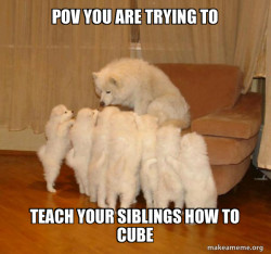 Storytelling Dog