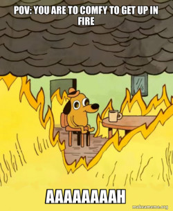 This Is Fine