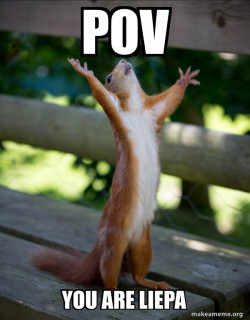 Happy Squirrel