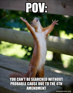 Happy Squirrel