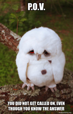 Sad Owl