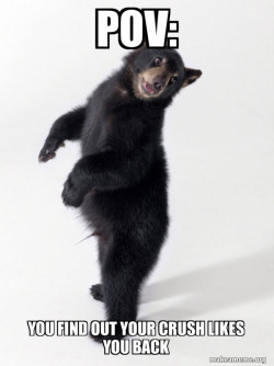 Super Bear'd