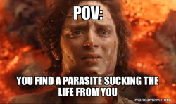 Frodo it's over it's done