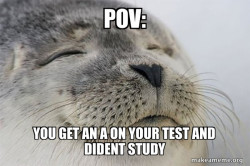 Satisfied Seal