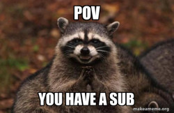 Evil Plotting Raccoon