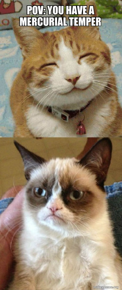 Grumpy Cat vs Happy Cat