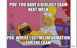 Computer Homer