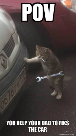 Mechanic Cat