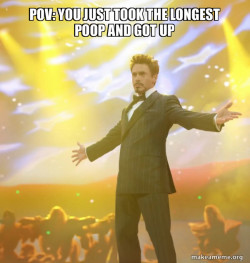 Tony Stark Success