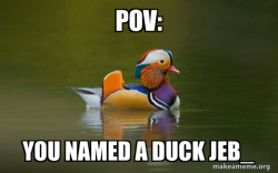 Fashionable Advice Mallard