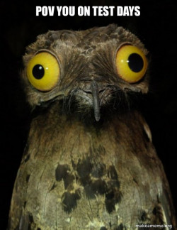 Weird Stuff I do Potoo