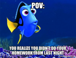 Dory from Nemo  (5 second memory)