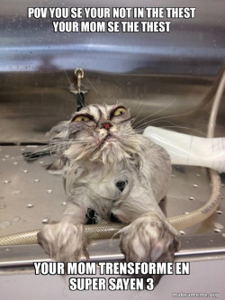 Cat Bath Returns
