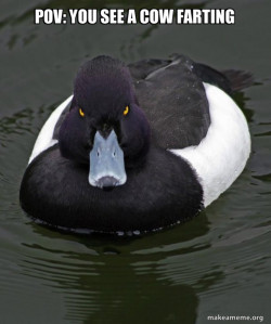 Revenge Duck ( Angry Advice Duck )