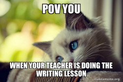 First World Cat Problems