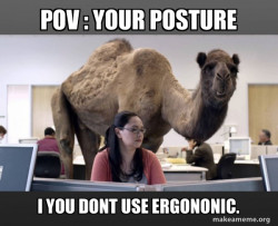 Hump Day Camel