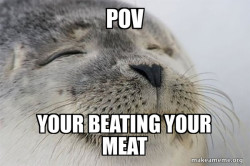 Satisfied Seal